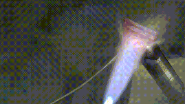 微信圖片_20220817142503.gif